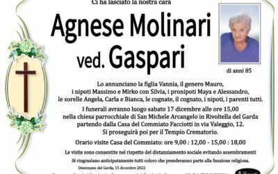 Agnese Molinari ved- Gaspari