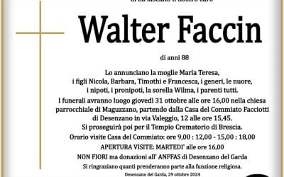 Walter Faccin