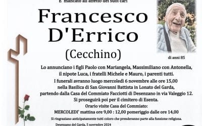 Francesco D’Errico (Cecchino)