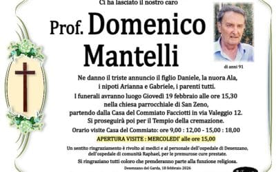 Prof. Domenico Mantelli